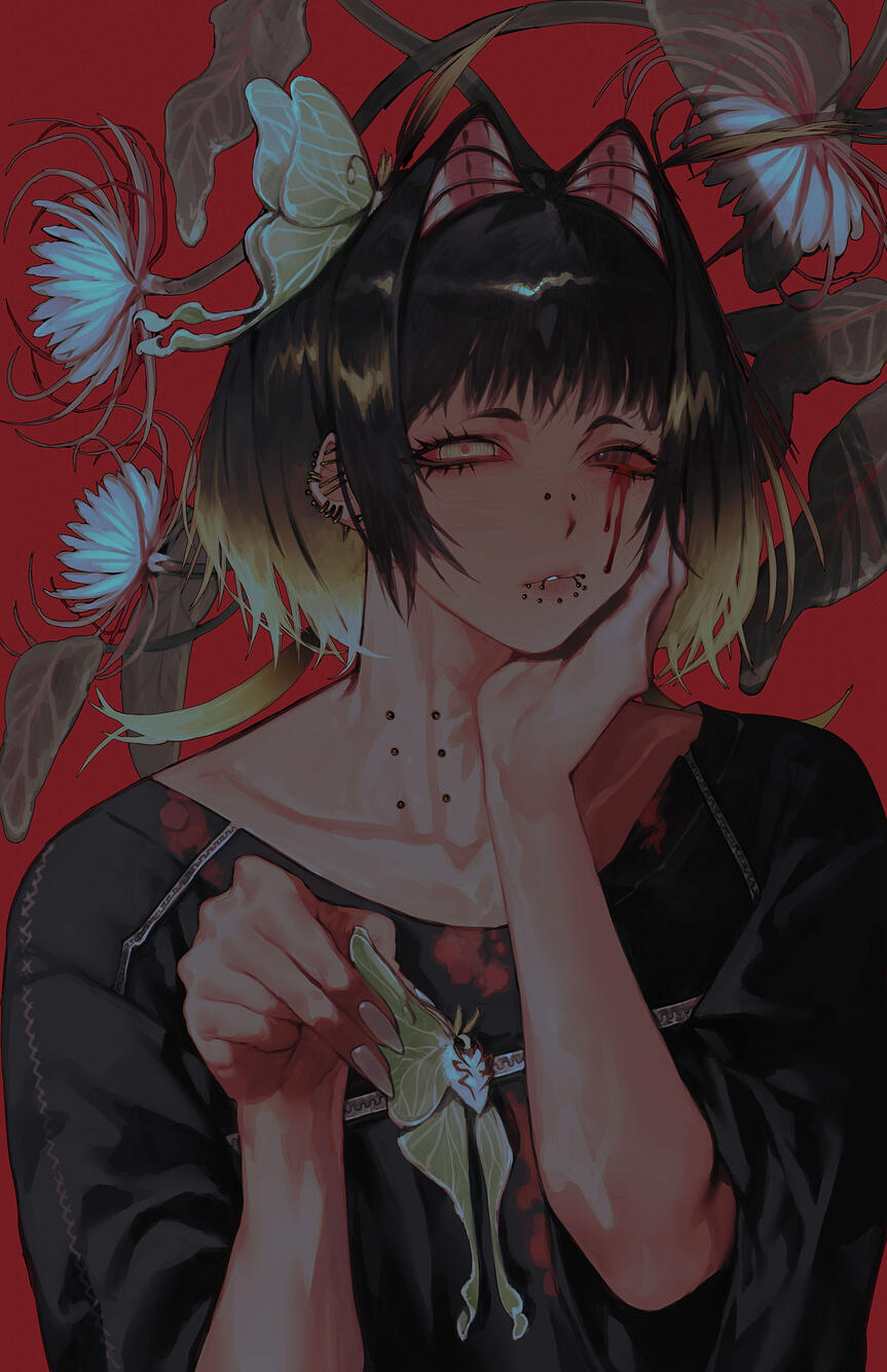 OC Illustration 2024